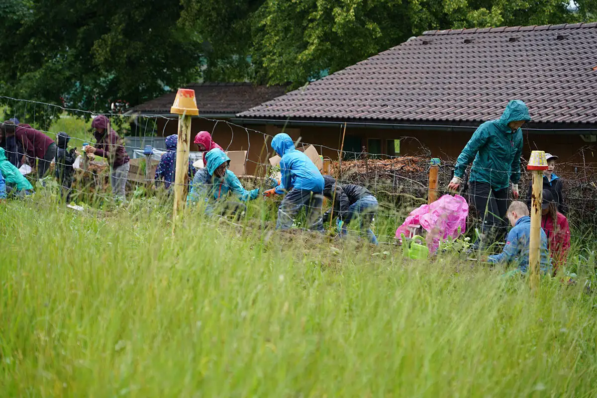 A school garden needs continuity – and offers many opportunities. Even a little rain is no deterrent.