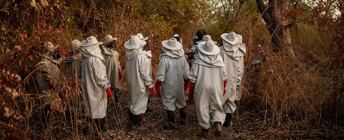 Beekeeping is another mainstay of the women’s project and also benefits the fruit and vegetable garden.
© Bente Stachowske Beekeeping is another mainstay of the women’s project and also benefits the fruit and vegetable garden.