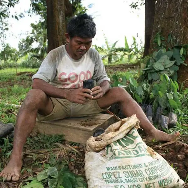 Reforestation is one of the project pillars of Life-Giving Forest. Reforestation is one of the project pillars of Life-Giving Forest.