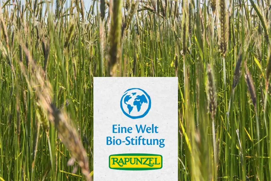 Dekoratives Bild Dekoratives Bild