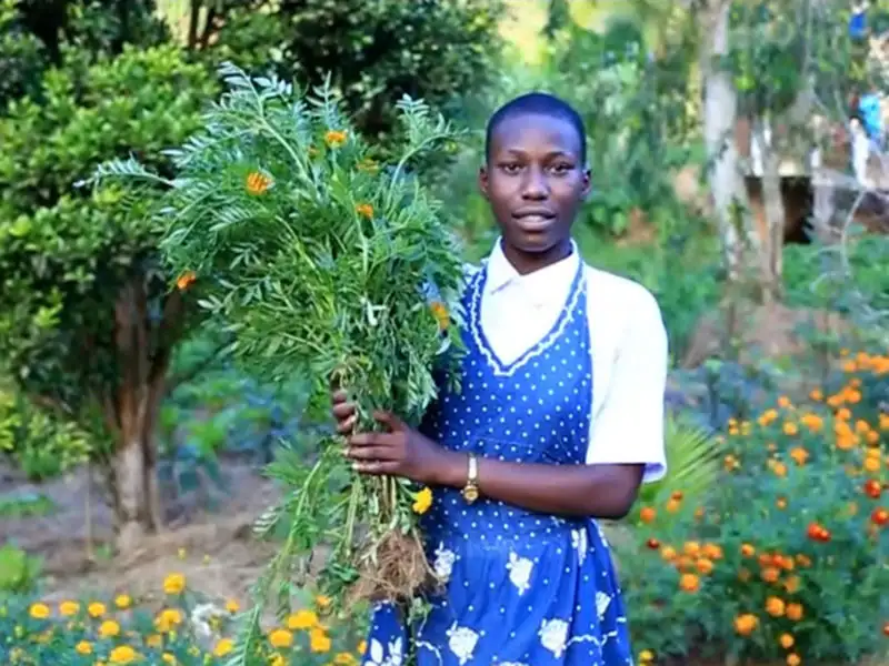 Las alumnas aprenden, entre otras cosas, cómo ampliar la biodiversidad en horticultura y cómo producir productos fitosanitarios orgánicos, por ejemplo, de Árbol neem.
© Hekima Girls' Secondary School Las alumnas aprenden, entre otras cosas, cómo ampliar la biodiversidad en horticultura y cómo producir productos fitosanitarios orgánicos, por ejemplo, de Árbol neem.