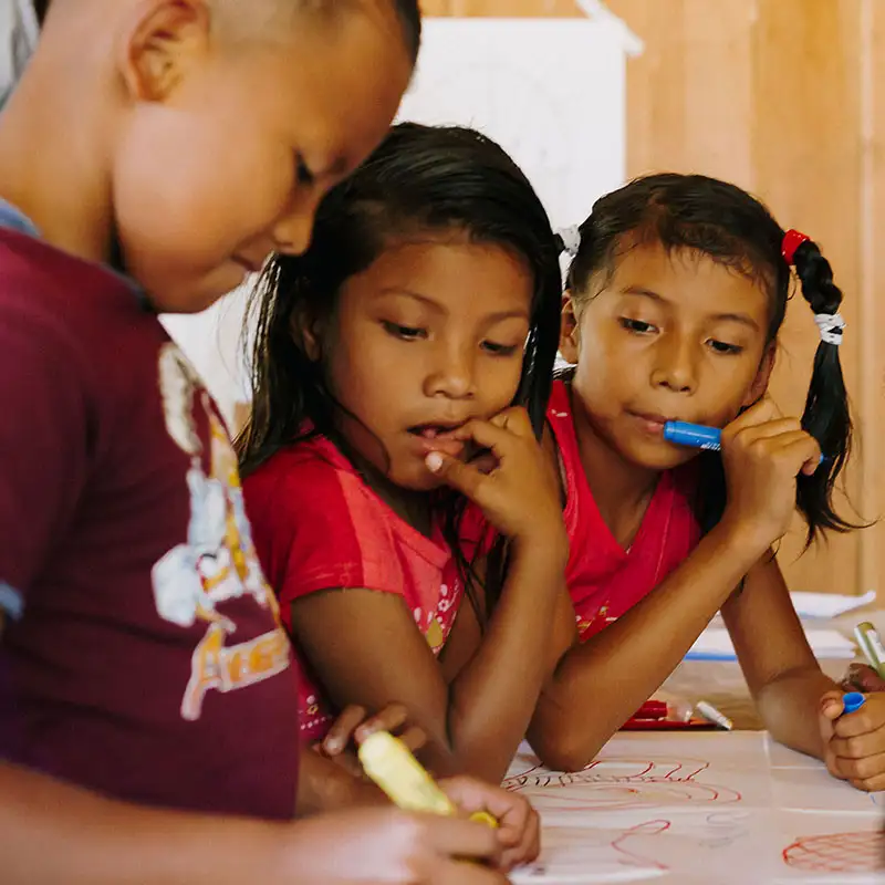 La formación es un indicador importante de la efectividad del proyecto.
© Alex Mundt/LOVE FOR LIFE La formación es un indicador importante de la efectividad del proyecto.