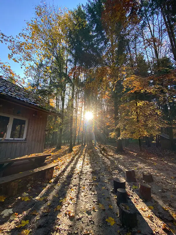 Sonnenschein im Waldkindergarten